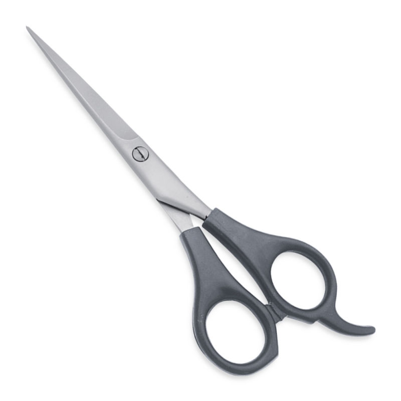 Hair Dressing Scissors